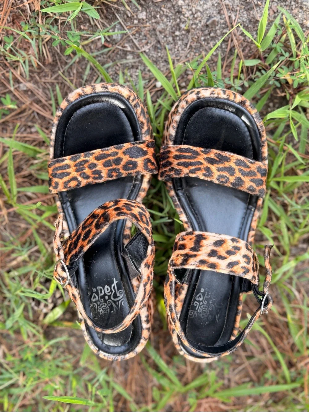 Y2K Not Bad Leopard Print Platform Wedge Strappy Ankle Strap Sandals Size 8M